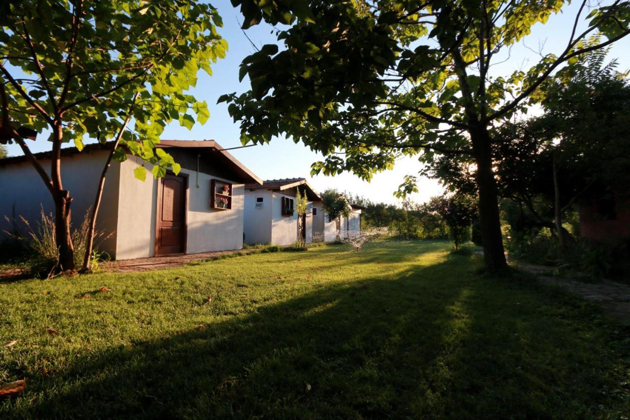 Вілла La Livada Greci Екстер'єр фото